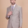 Imported Fabric Designer Men's Suit